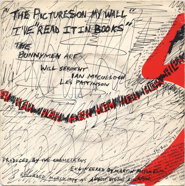 Echo And The Bunnymen* : The Pictures On My Wall (7", Single)