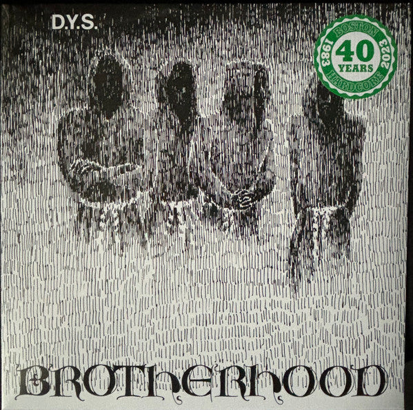 DYS : Brotherhood (LP, S/Sided, Album, RE, RP, 40t)