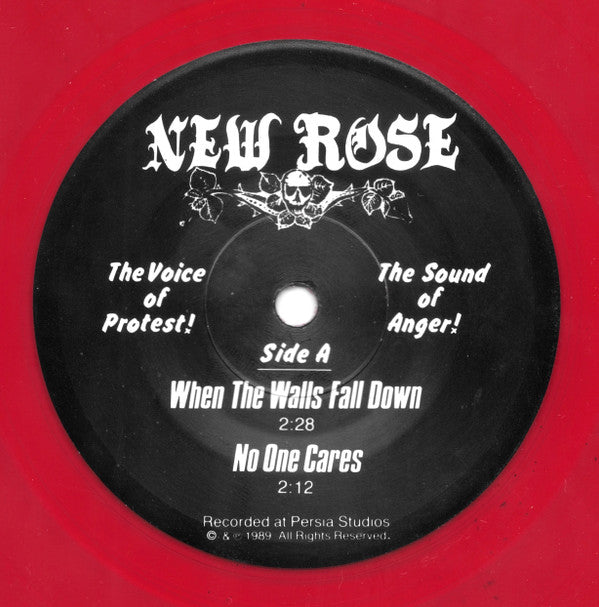 Voice Of Protest - New Rose (2)