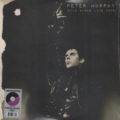 Wild Birds Live Tour - Peter Murphy