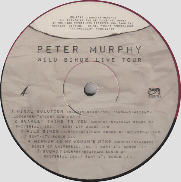 Wild Birds Live Tour - Peter Murphy