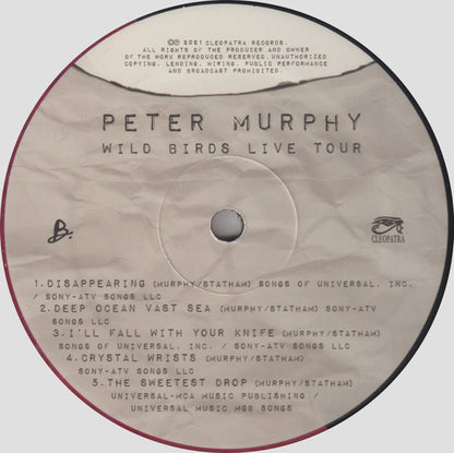 Wild Birds Live Tour - Peter Murphy