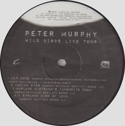 Wild Birds Live Tour - Peter Murphy