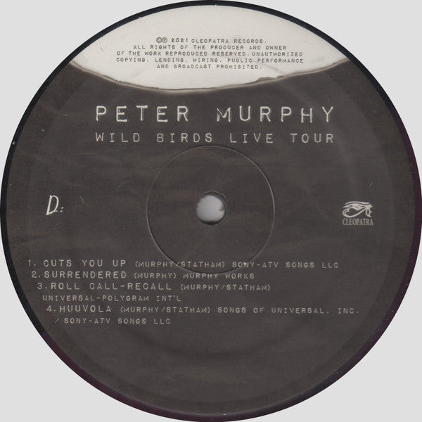 Wild Birds Live Tour - Peter Murphy