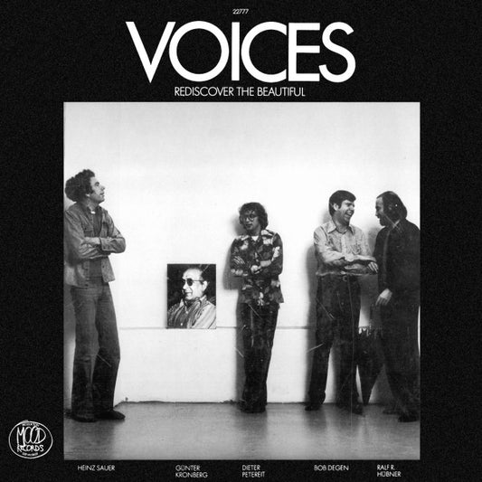 Rediscover The Beautiful - Voices (21)