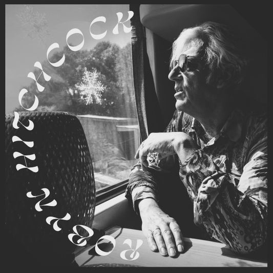 Sunday Never Comes - Robyn Hitchcock