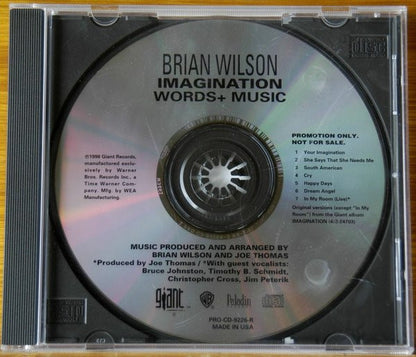 Imagination Words + Music - Brian Wilson