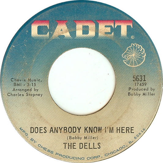 Does Anybody Know I'm Here / Make Sure (You Have Someone Who Loves You) - The Dells