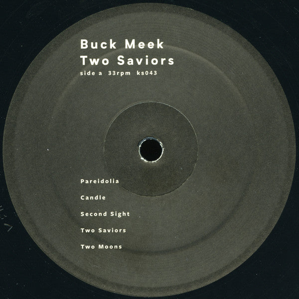 Two Saviors - Buck Meek