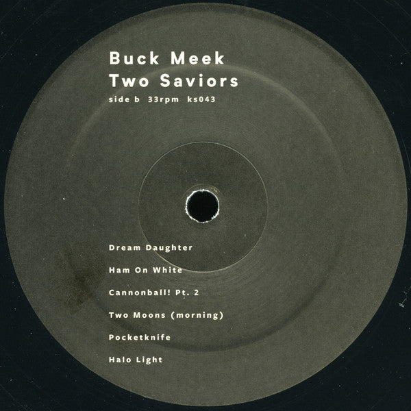 Two Saviors - Buck Meek