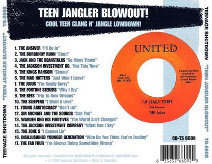 Various ‎– Teen Jangler Blowout! (Cool Teen Clang N' Jangle Lowdown!)