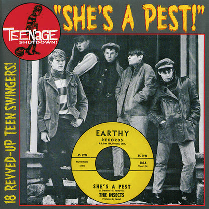 Various ‎– "She's A Pest!" (18 Revved-Up Teen Swingers!)