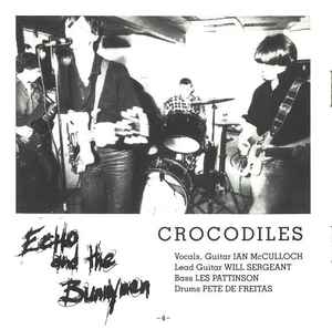 Echo And The Bunnymen* ‎– Crocodiles